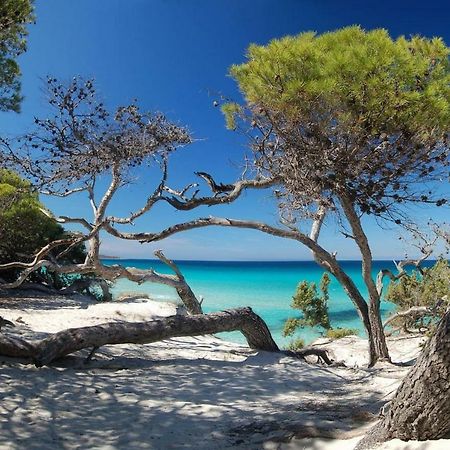 T2 pour 4 pers, charmante résidence avec piscine Oletta  Exterior foto