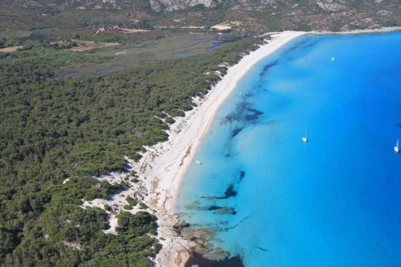 T2 pour 4 pers, charmante résidence avec piscine Oletta  Exterior foto